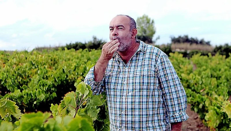 Vin de Pays du Gard - 2023 - Roc d'Anglade