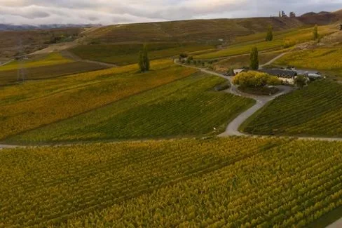 Central Otago Block 3 Pinot Noir - 2022 - Felton Road