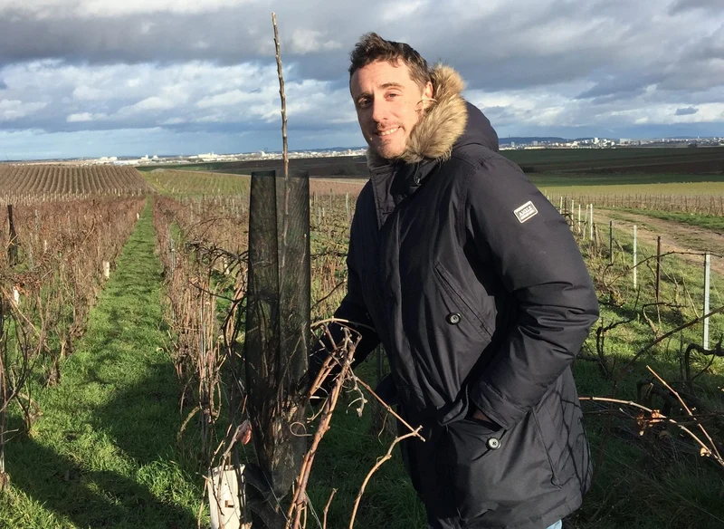 Champagne Brut Nature Les Côtes Chéries - 2019 - Champagne Lamblot