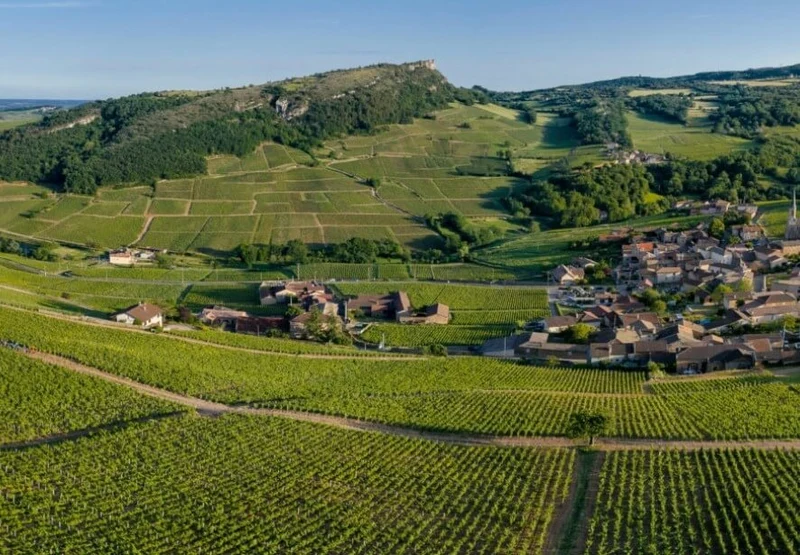 Saint-Véran Le Grand Bussière - 2022 - Domaine Olivier Merlin