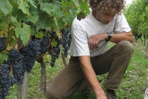 Margaux - 2014 - Clos du Jaugueyron