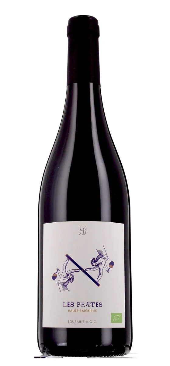 Domaine des Hauts Baigneux - AOP Touraine - Rouge - 2019