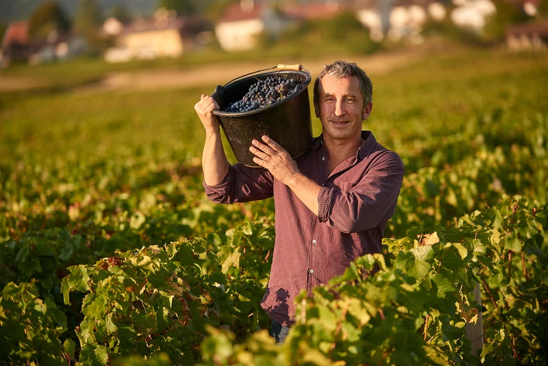 Kentza Pinot Blanc - 2022 - Julien Klein