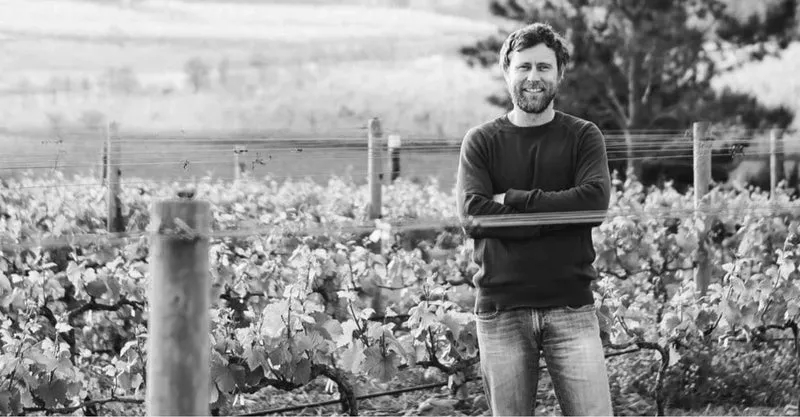 Vrede Chardonnay - 2022 - Storm Wines