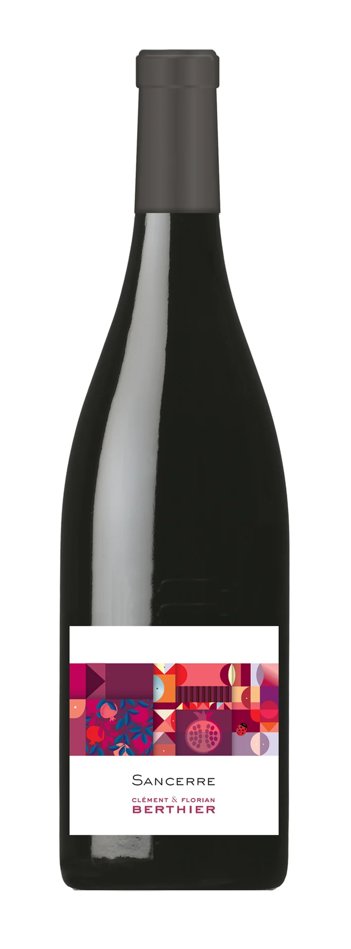 Clément et Florian Berthier - AOP Sancerre - Rouge - 2017