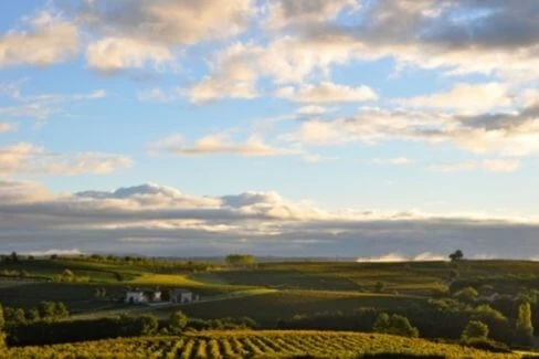 Magnum Châteauneuf-du-Pape Le Vieux Donjon - 2022 - Domaine du Vieux Donjon