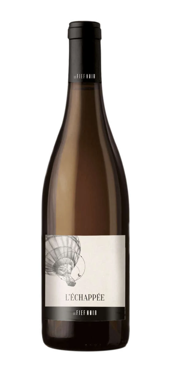 Le Fief noir - AOP Anjou - Blanc - 2018