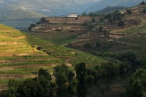 Douro Redoma Reserva - 2021 - Niepoort