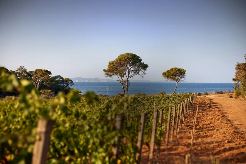 Côtes de Provence - 2021 - Château Malherbe