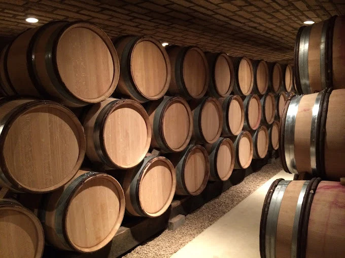 Bourgogne Rouge - 2022 - Domaine Charles Audoin