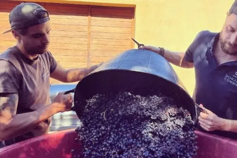 Priorat Fonsclar - 2019 - L'Infernal