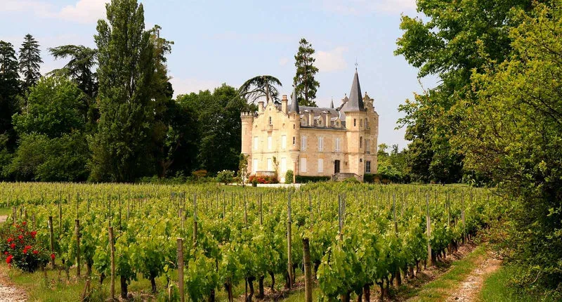 Pessac-Léognan Cuvée Paul - 2019 - Château Haut-Bergey