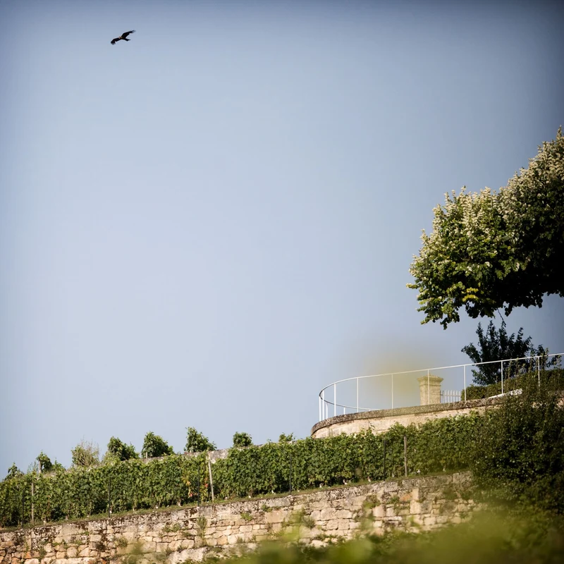 Saint-Émilion - 2022 - Château Ausone