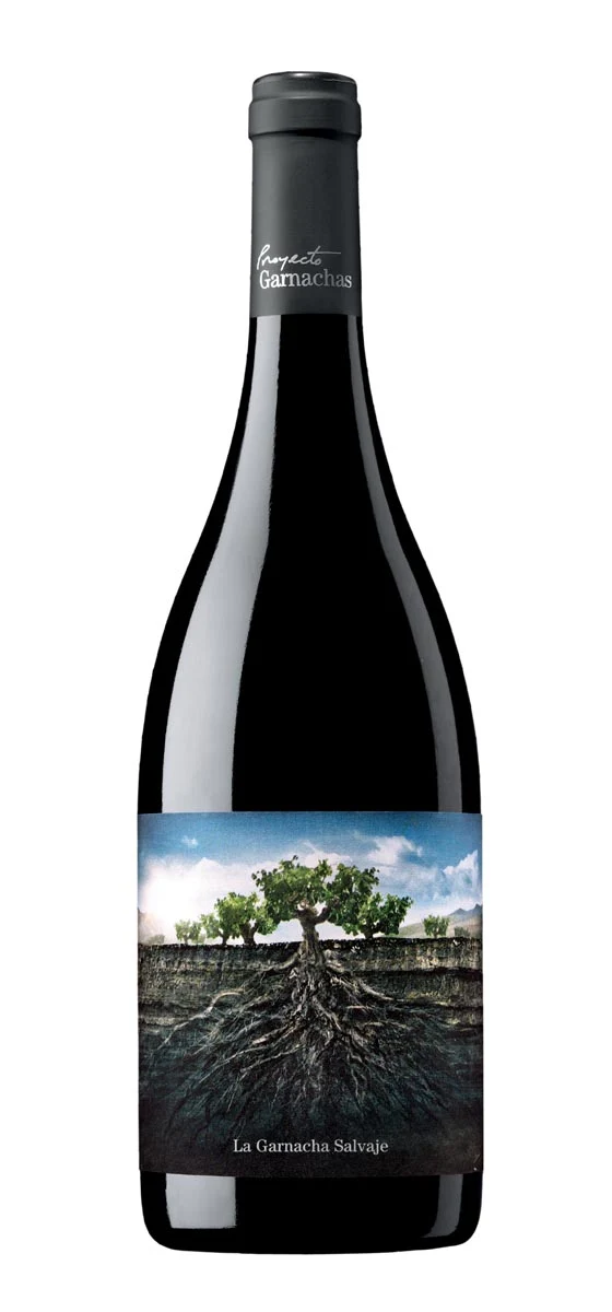 Proyecto Garnachas - DO Calatayud - Rouge - 2017