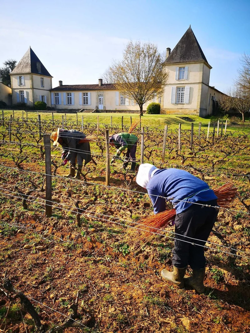 Magnum Barsac 1er Cru Classé - 2005 - Château Climens