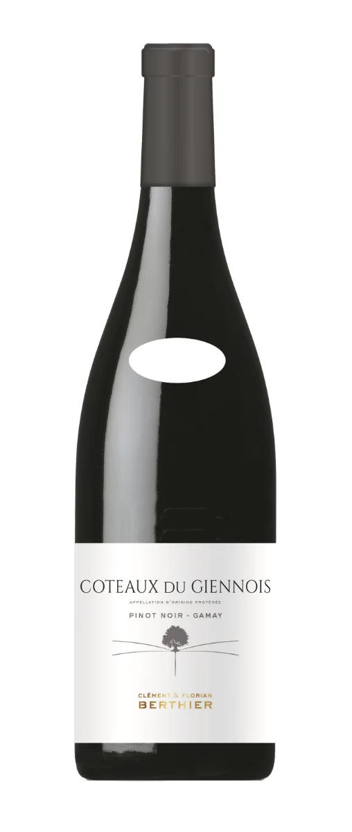 Clément et Florian Berthier - AOP Coteaux-du-Giennois - Rouge - 2018
