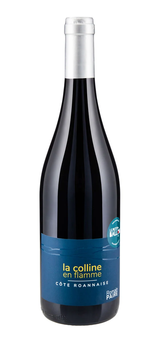 Domaine des Pothiers - AOP Côte-Roannaise - Rouge - 2018