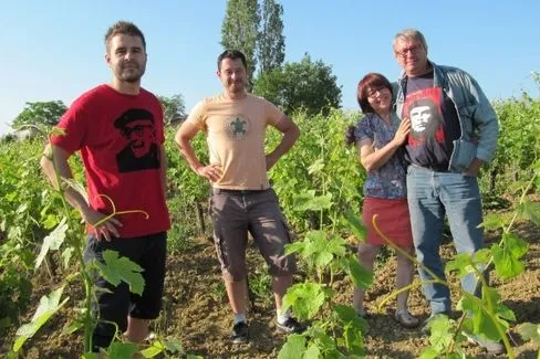 Gaillac Sec Premières Côtes Vin de Voile - 2010 - Domaine Plageoles