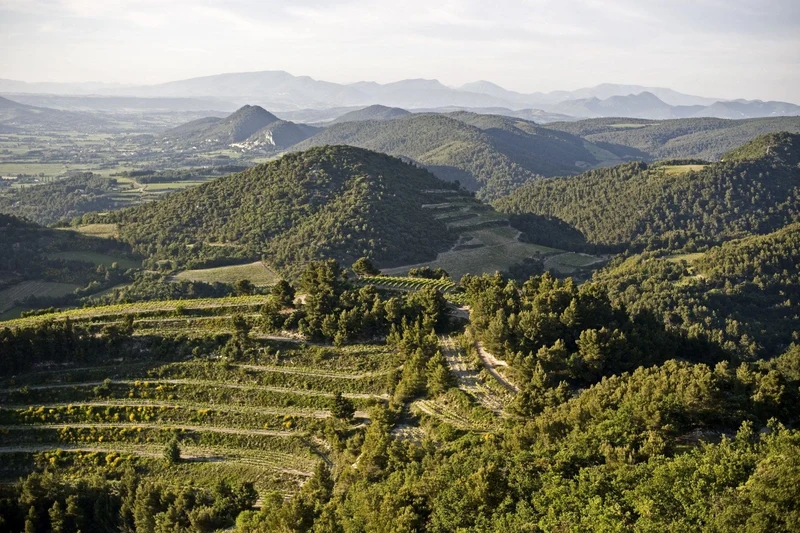 Côtes du Rhône - 2022 - Domaine des Espiers