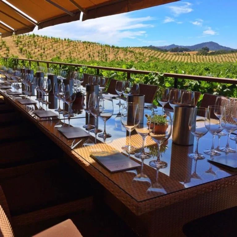 Alexander Valley Geyserville - 2020 - Ridge Vineyards