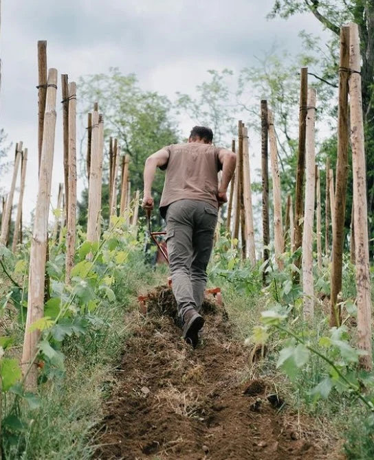 Collines Rhodaniennes Question d'Équilibre Viognier - 2022 - Hugo & Pauline Villa