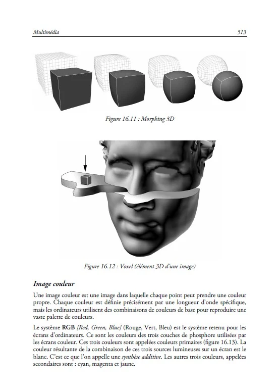 Architecture et technologie des ordinateurs - 7e éd.