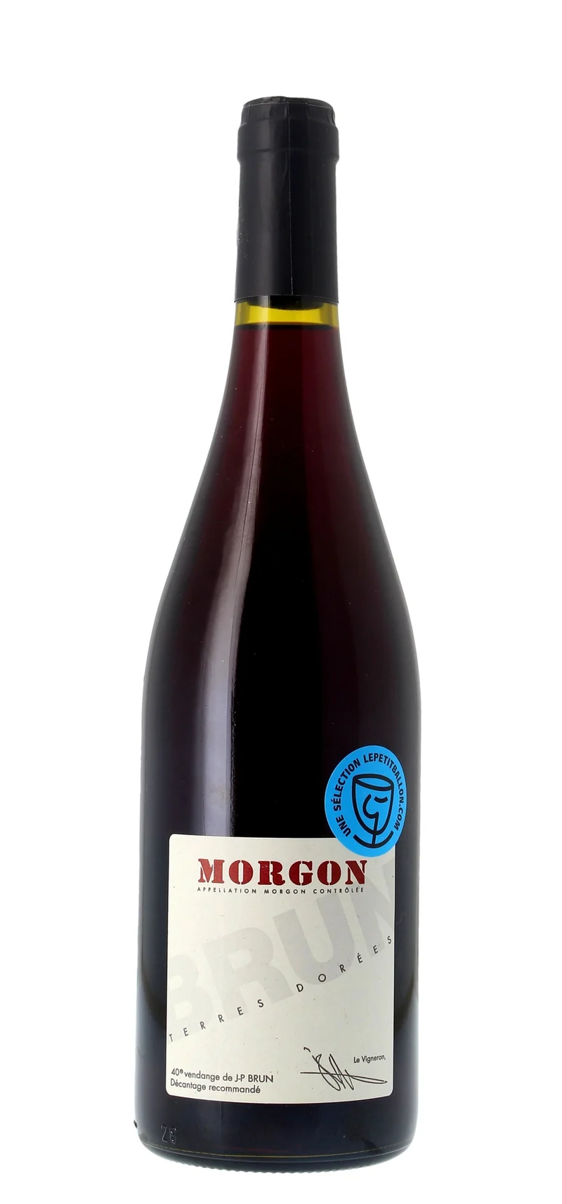 Terres Dorées - Morgon - AOP Morgon - Rouge - 2023