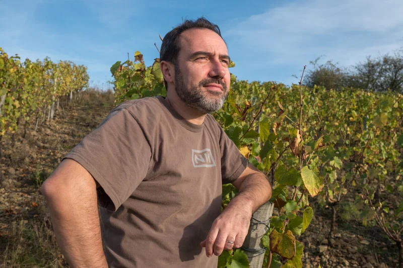 Anjou Quarts - 2022 - Domaine Belargus