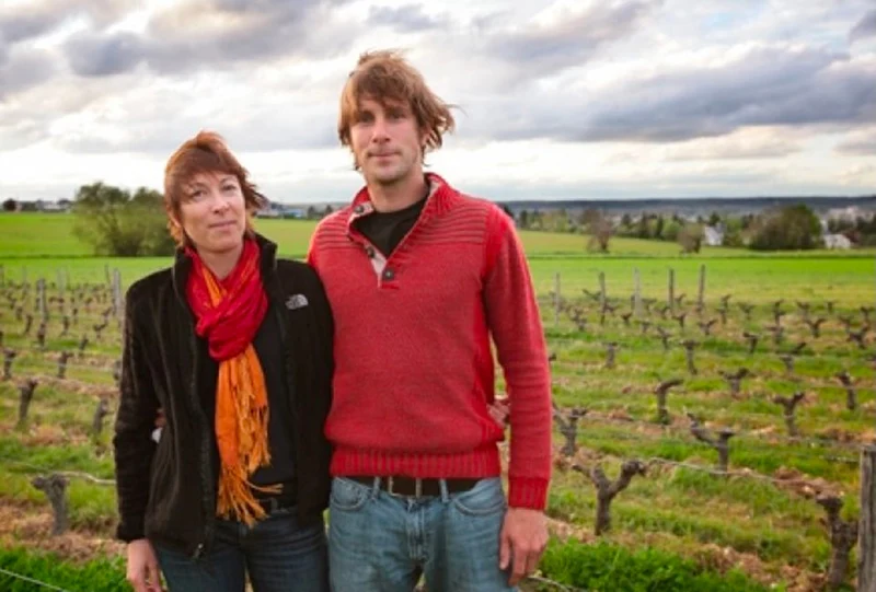 Touraine Amboise Les Ormeaux - 2023 - Domaine La Grange Tiphaine