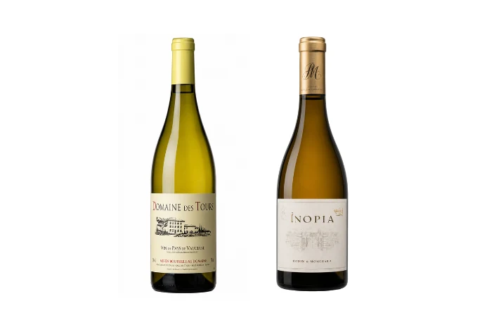 Duo Passion domaine des Tours & Domaine Rotem & Mounir Saouma