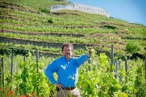 Condrieu Coteau De Chery - 2021 - Maison M. Chapoutier