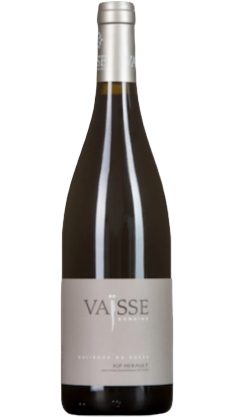Pays d'Hérault Galibaou du Russe - 2016 - Domaine Vaïsse