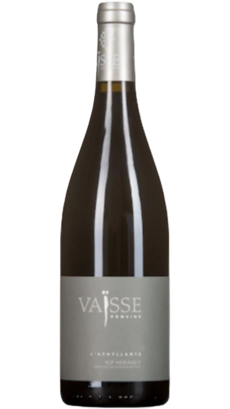 Pays d'Hérault L'Aphyllante - 2023 - Domaine Vaïsse