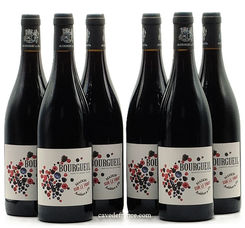 Bourgueil Sur le Fruit Audebert X 6