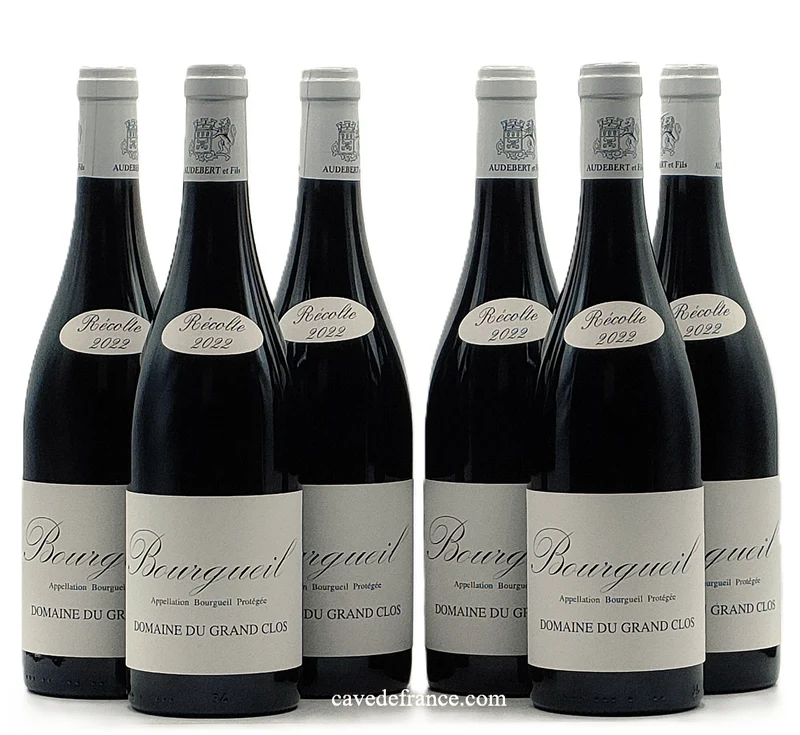 Bourgueil Domaine du Grand Clos Audebert et Fils X 6