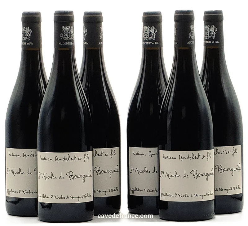 Saint Nicolas de Bourgueil Audebert X 6