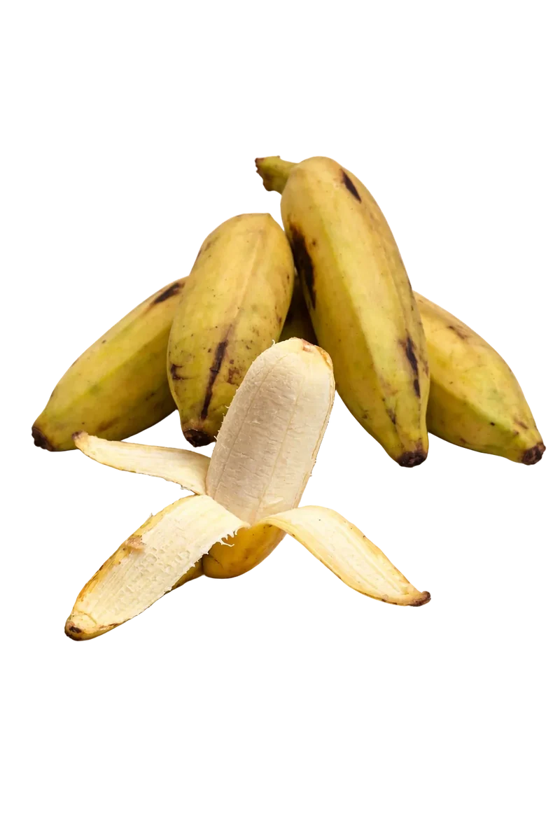 Banane Blanche de la Réunion