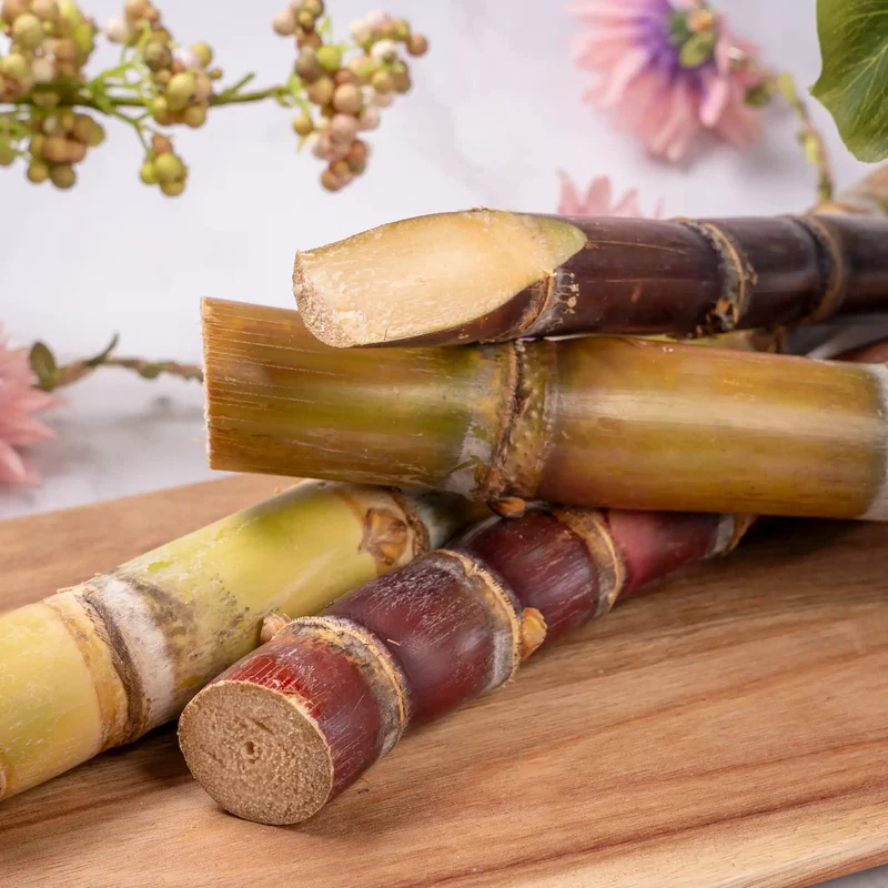 Canne à sucre de Guadeloupe