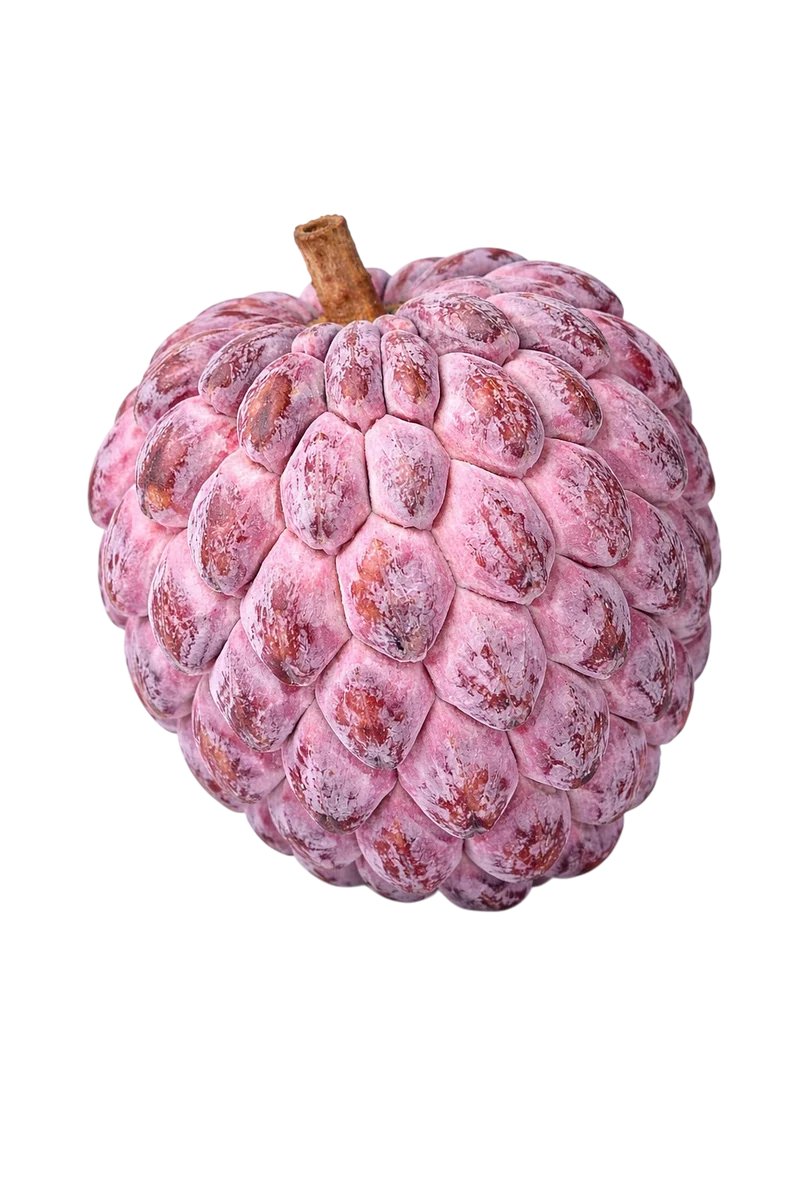 Pomme Cannelle (zatte) ROUGE