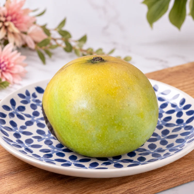Mangue José de la Réunion