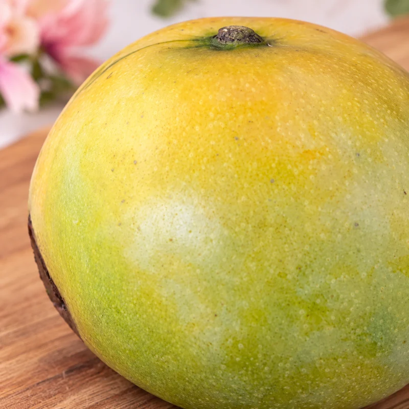 Mangue José de la Réunion