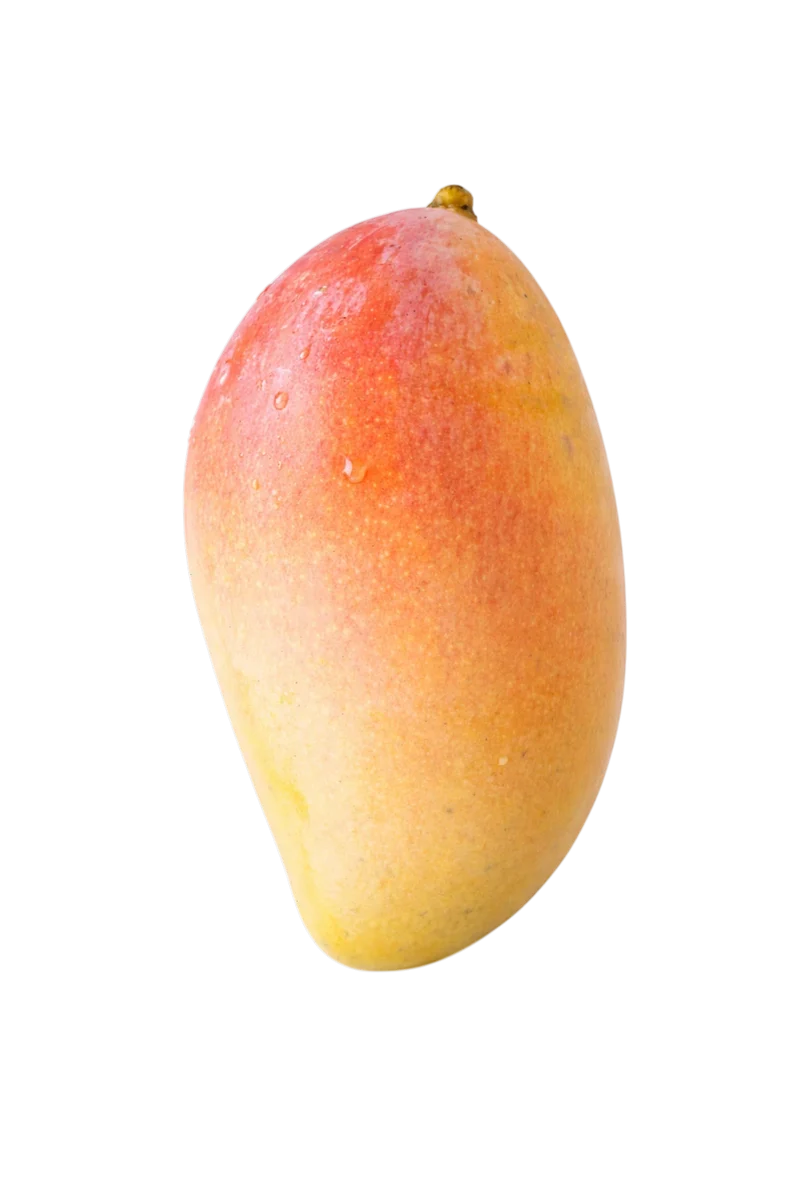 Mangue arc en ciel