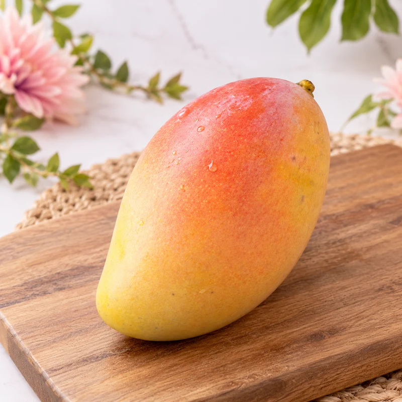Mangue arc en ciel