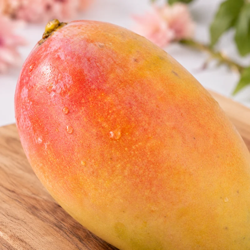 Mangue arc en ciel