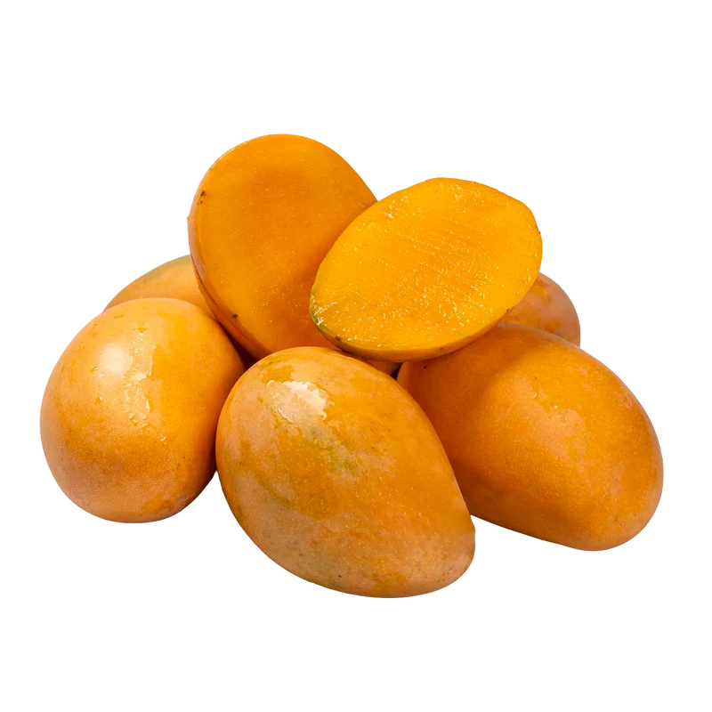 Mangue Mingolo