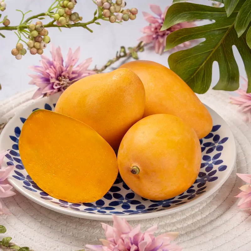 Mangue Mingolo