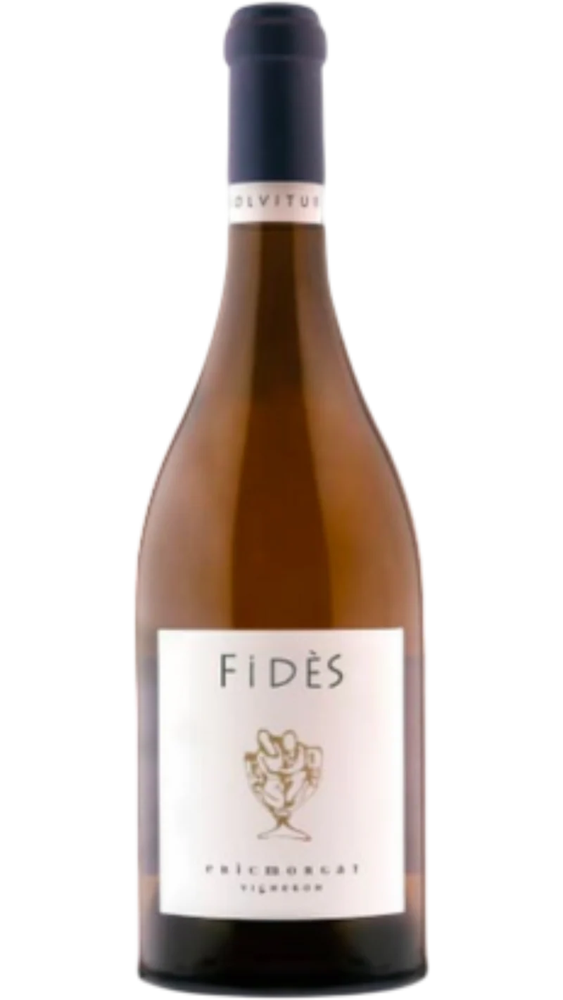 Savennières Fidès - 2018 - Domaine Eric Morgat