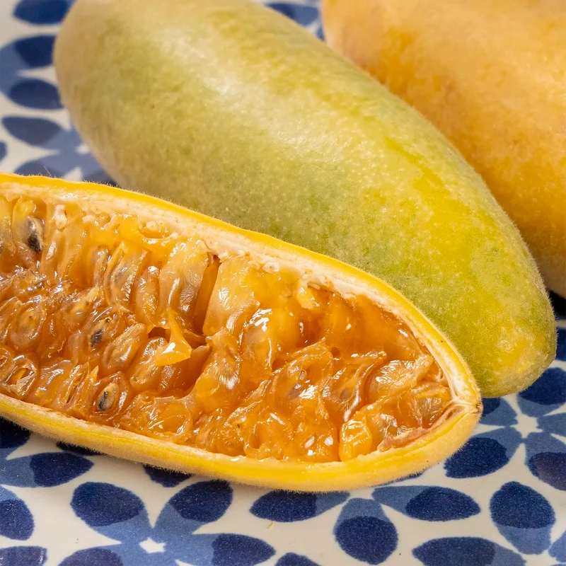Curuba d'Équateur (banane de la passion)