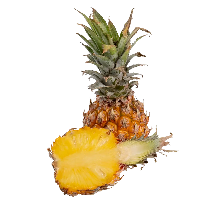 Ananas phulae "micro ananas"