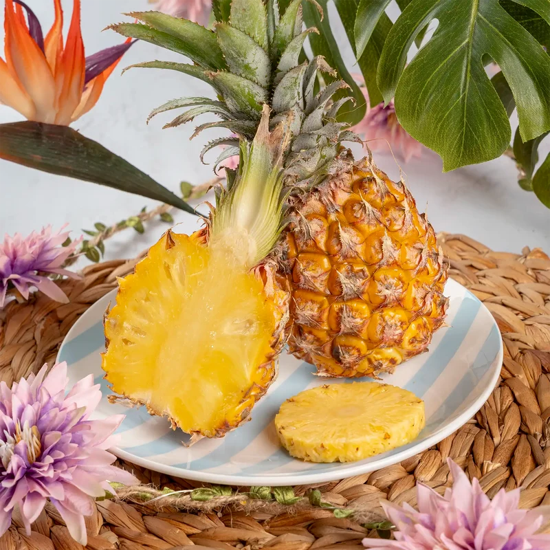 Ananas phulae "micro ananas"